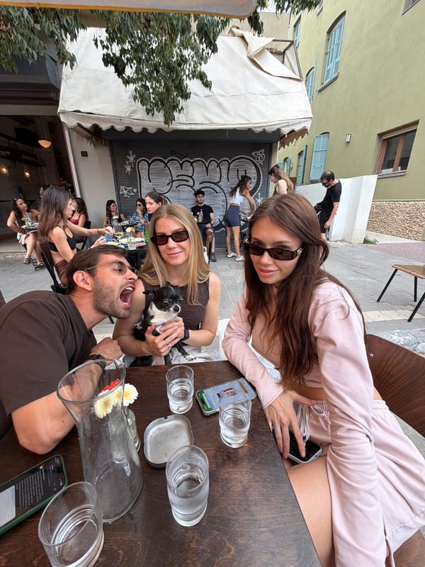 Friends toast with wine at Tel Aviv cafe