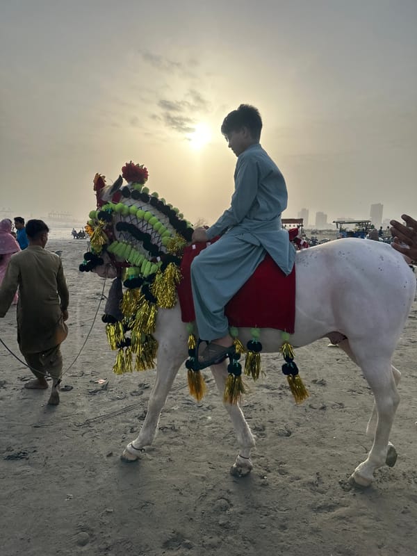 Decorated horses and street food on Karachi's beachfront
