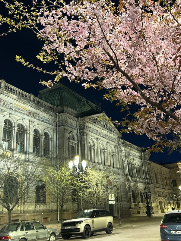 Spring evening stroll captured amid illuminated Saint Petersburg landmarks