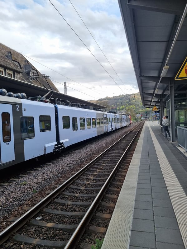Tourist activity documented across Cochem's bridge and riverside attractions