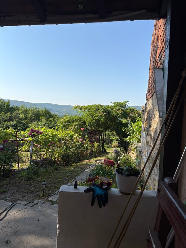 Rural Bulgarian garden property on a sunny summer morning