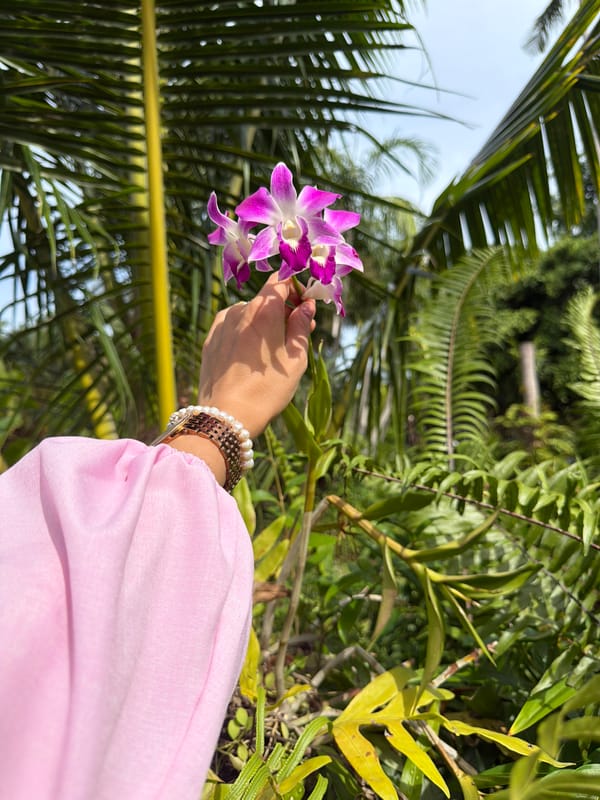 Morning exploration of a lush tropical resort property in Koh Samui