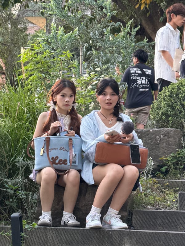 Daily life moments captured across Chongqing's Yuzhong District