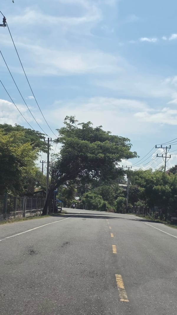 Motorcycles travel rural Indonesian road amid green vegetation
