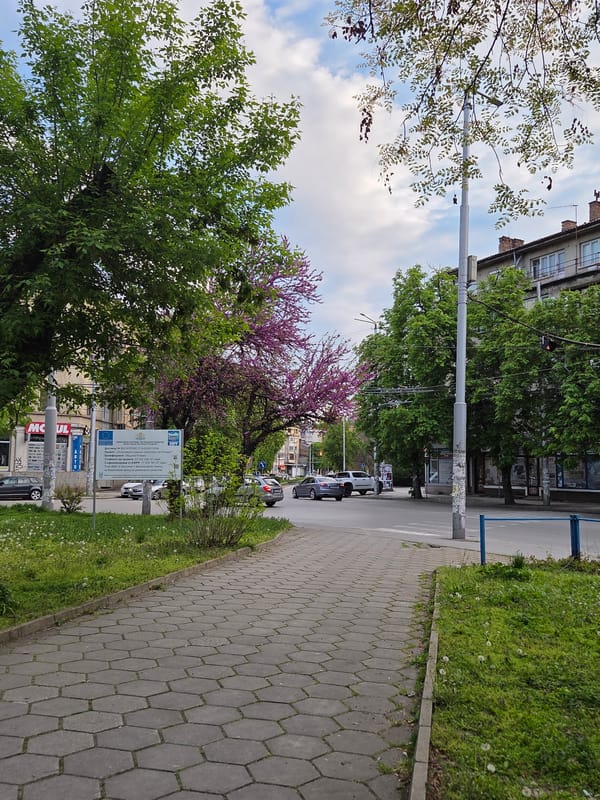 Spring blooms and dog encounters captured in Pleven, Bulgaria