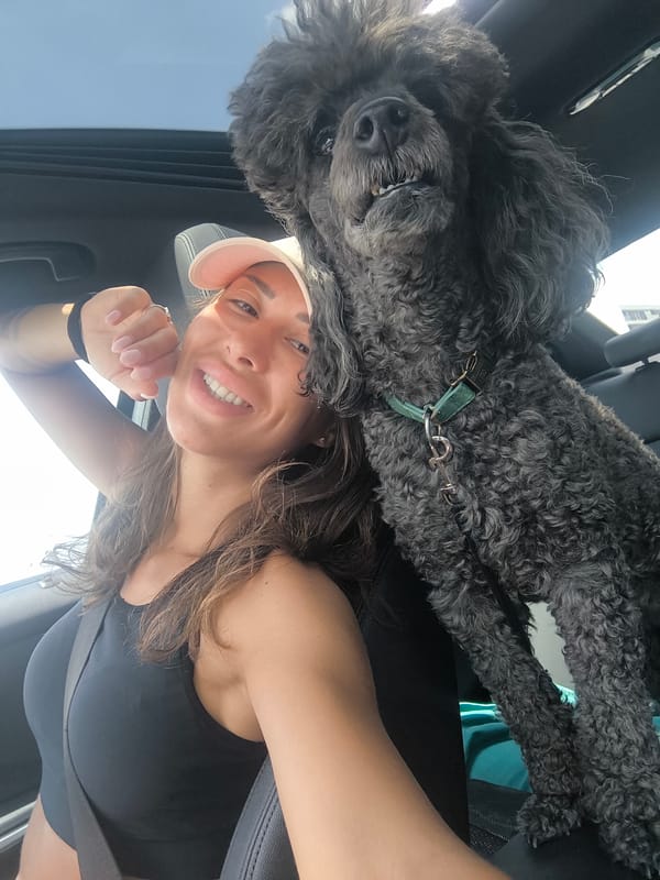 Cruising Sofia with a poodle, sunroof open