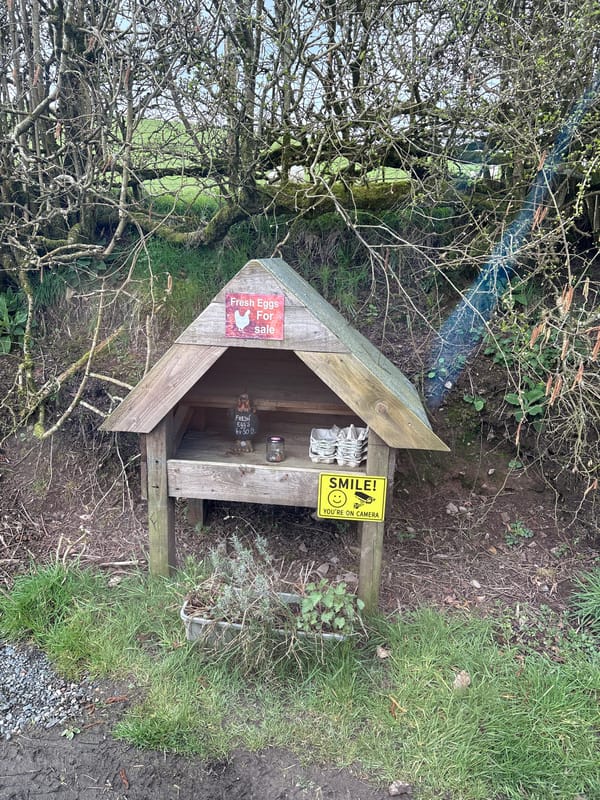 Fresh egg stand spotted in Wentnor countryside