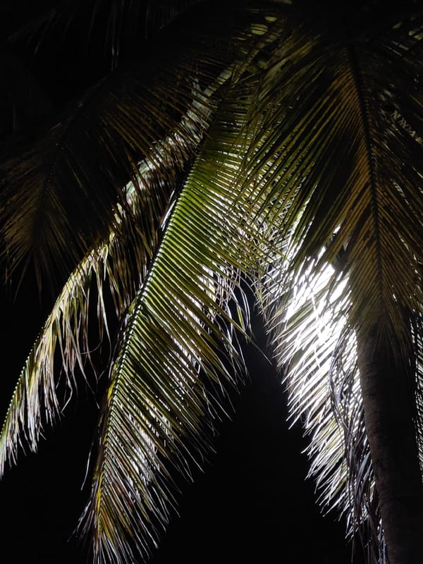 Daily life scenes documented across Puttaparthi, India