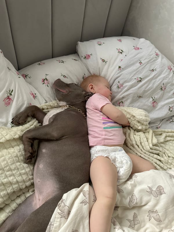 Domestic life captured in Pervomaysky: baby, dog, woman at home