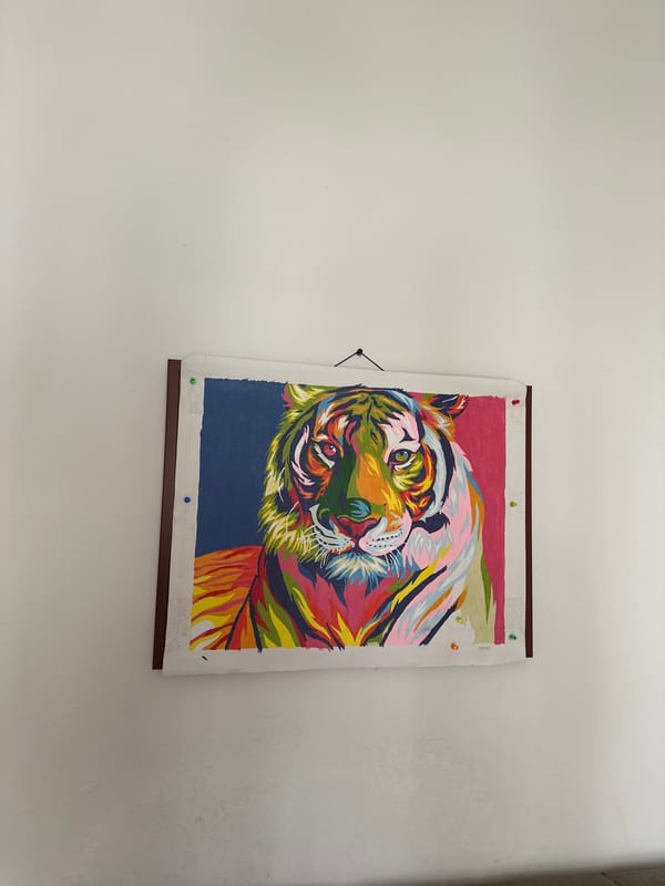 Morning scenes documented across Budva, Montenegro