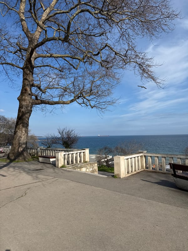 Peaceful afternoon scenes captured along Varna's Black Sea coastline