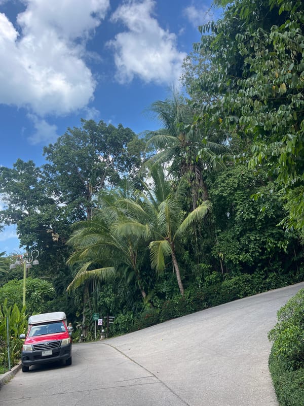Wandering the grounds of Fairhouse Beach Samui resort