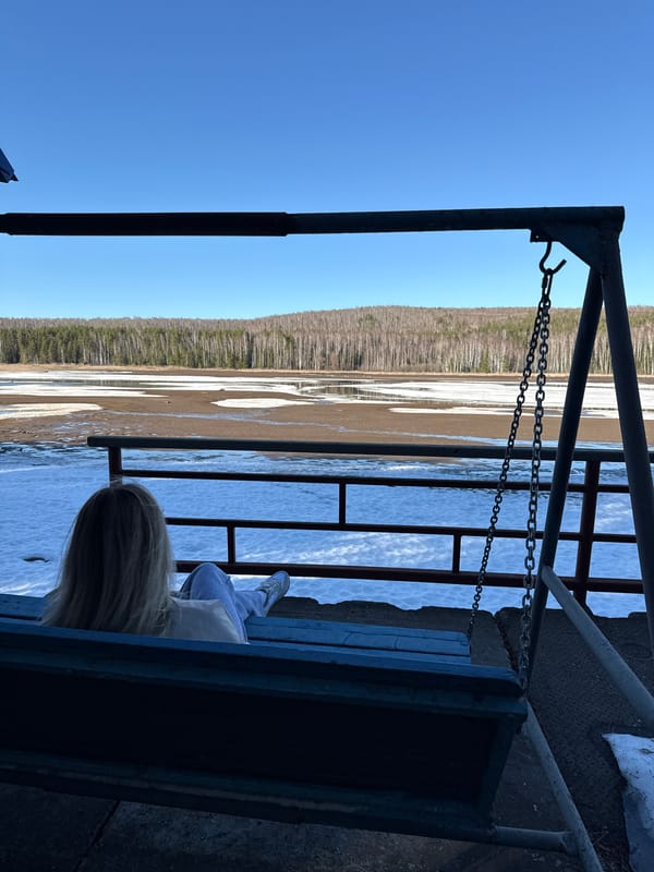 Person enjoys swing overlooking water in Chaykovsky lakefront area