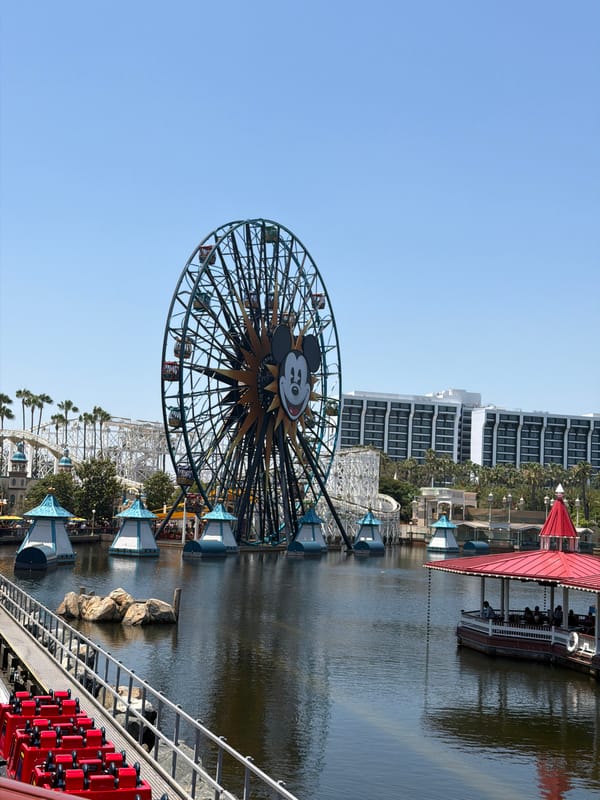 Visitor documents sunny day at Disney California Adventure Park