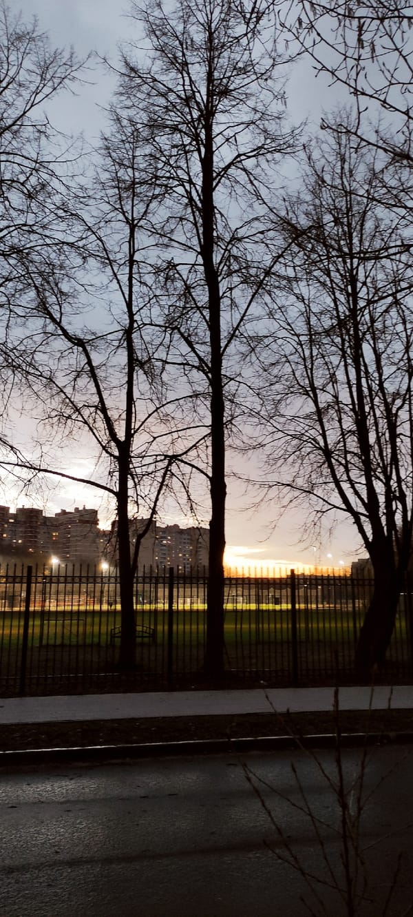 Everyday moments captured in Fryazino: twilight scene, pet selfie