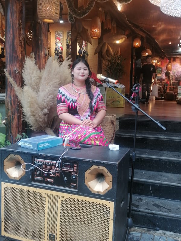 Daily life documented in Sa Pa Ward tourist market