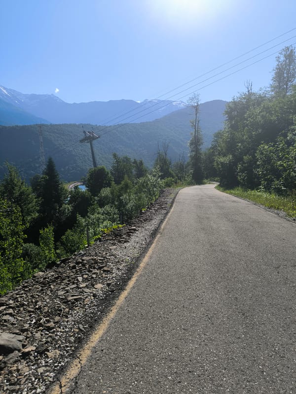 Mountain road scenes with open skies and a roaming cat