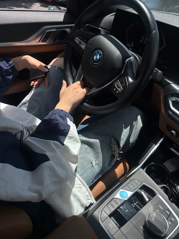 Driver Takes Selfie While Operating Vehicle in Yerevan
