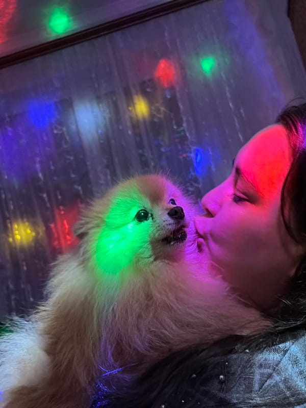 Woman spends evening with Pomeranian dog in colorful indoor setting
