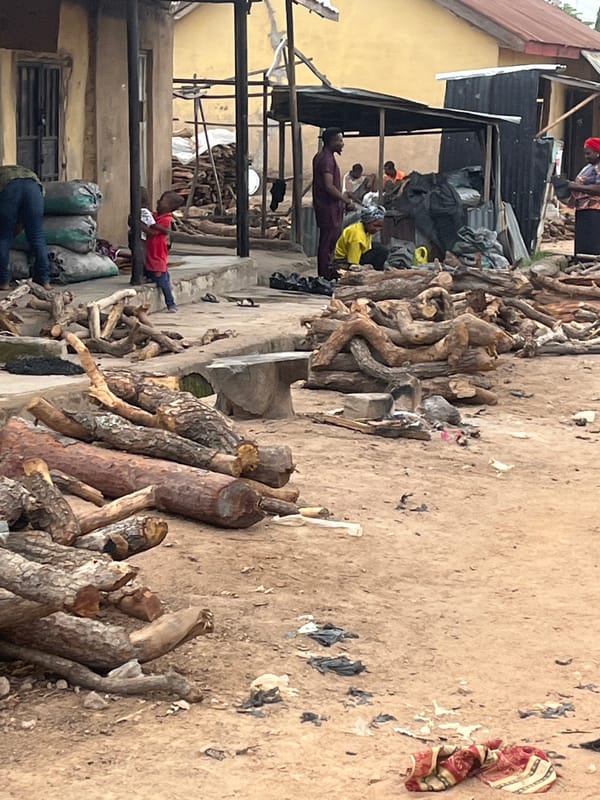 Morning market activity across Jalingo's streets and stalls