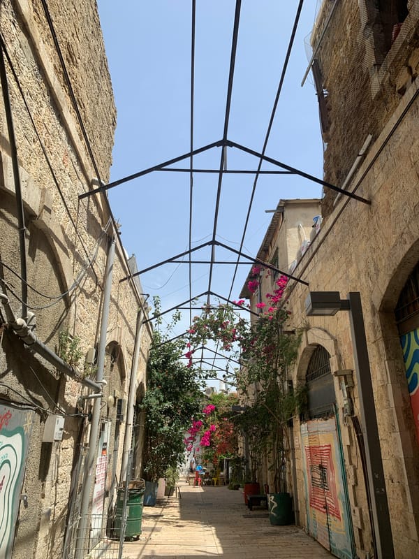 Tel Aviv street scene captured with stone buildings, bougainvillea