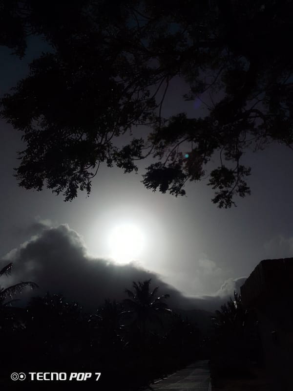 Dramatic sunrise captured through palm trees in Pedro González
