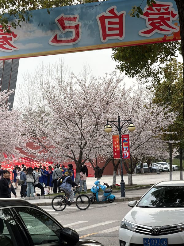 Spring scenes documented across Jiangning District during overcast morning