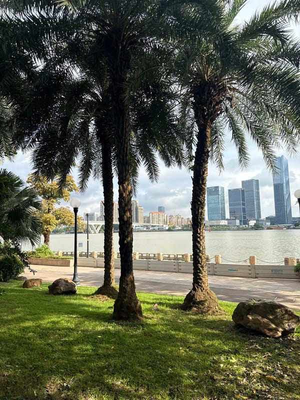 Sunny afternoon along Haizhu District's Pearl River parkway
