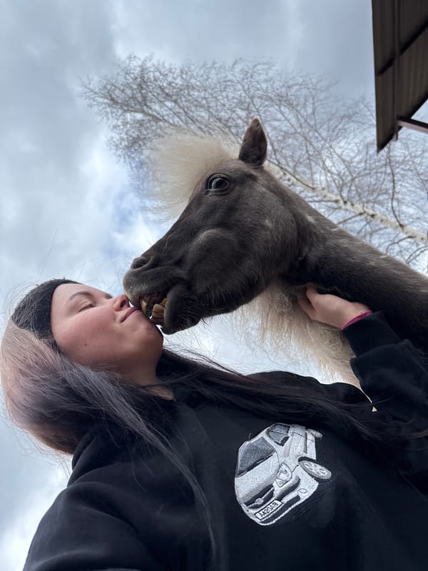 Morning horse interaction documented in rural Russia