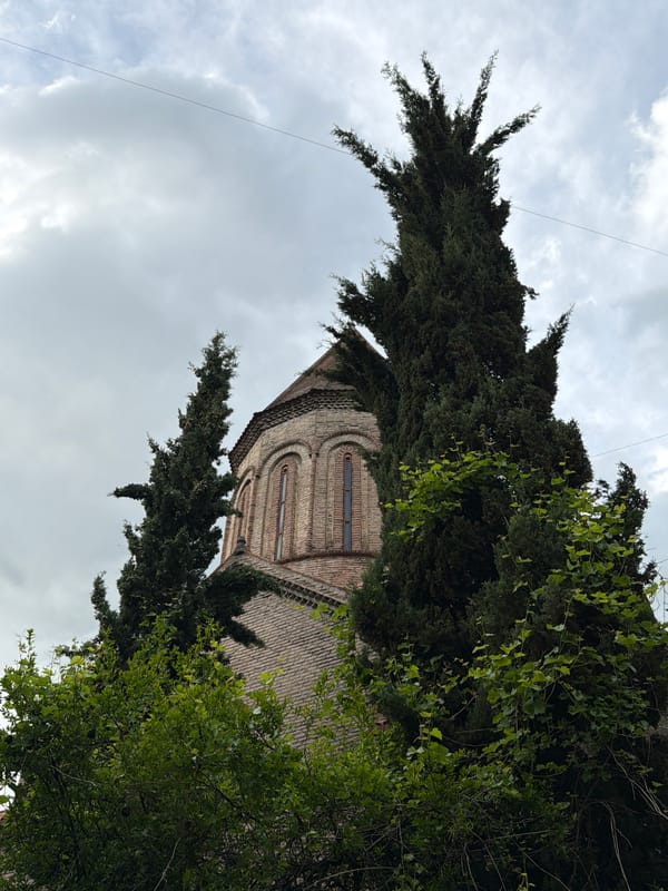 Tourist documents afternoon walk through historic Tbilisi neighborhoods