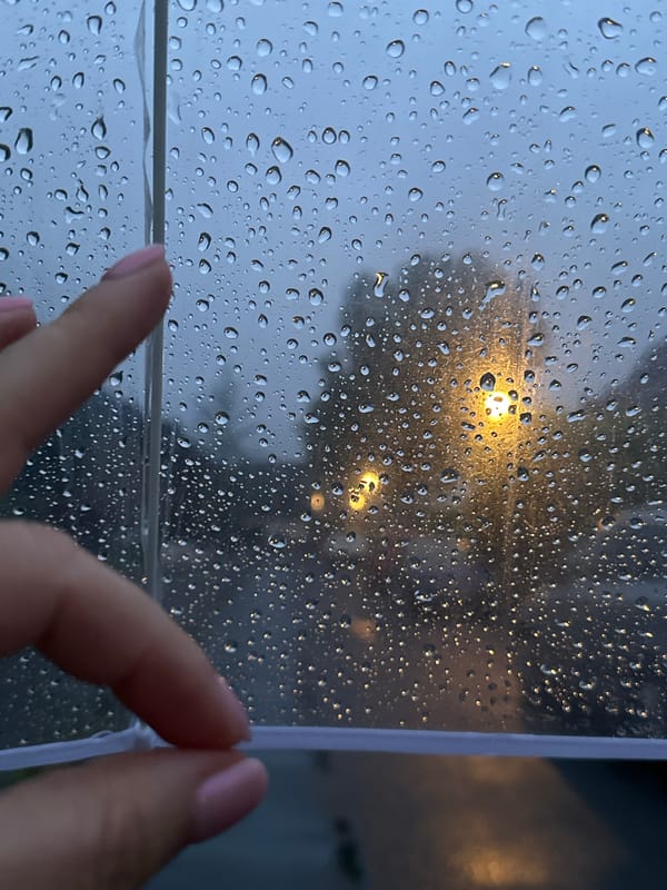 Rainy evening walk documented through umbrella in Krefeld, Germany