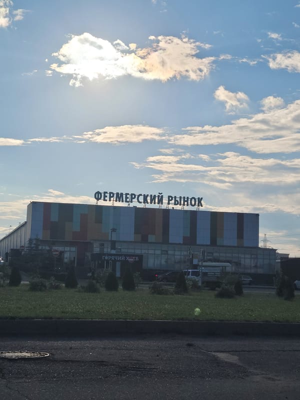 Afternoon street scenes around Mytishchi's farmers' market area