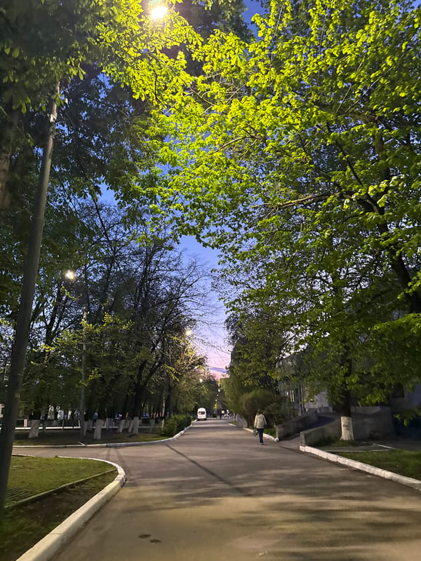 Evening street scenes documented in Rostov-on-Don parks