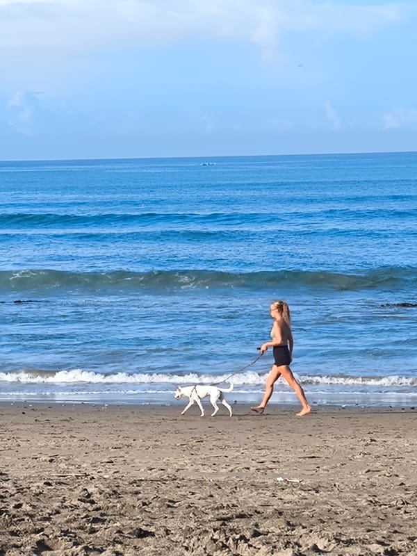 Woman walks white dog on Canggu beach evening