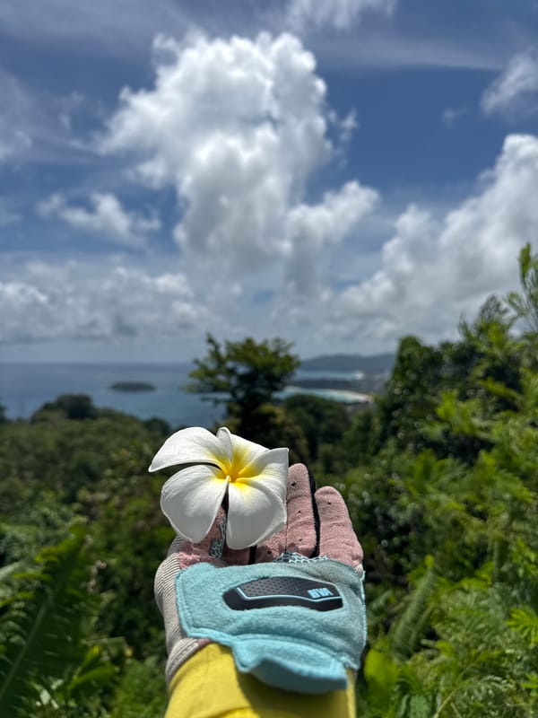Morning stop at Karon's coastal overlook with bay views