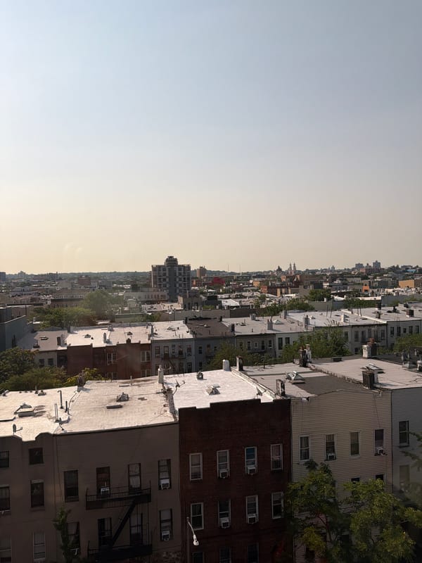 Brooklyn rooftops and residential skyline, midday.