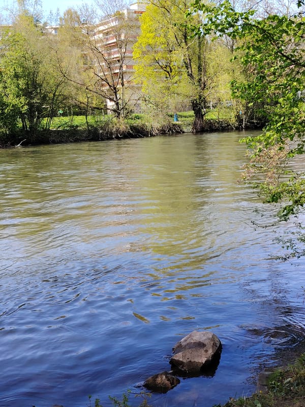 Woman in life vest spotted along Ill River, Strasbourg