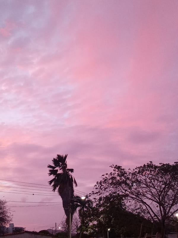 Pink-purple sunset illuminates Juan Griego, Venezuela skyline