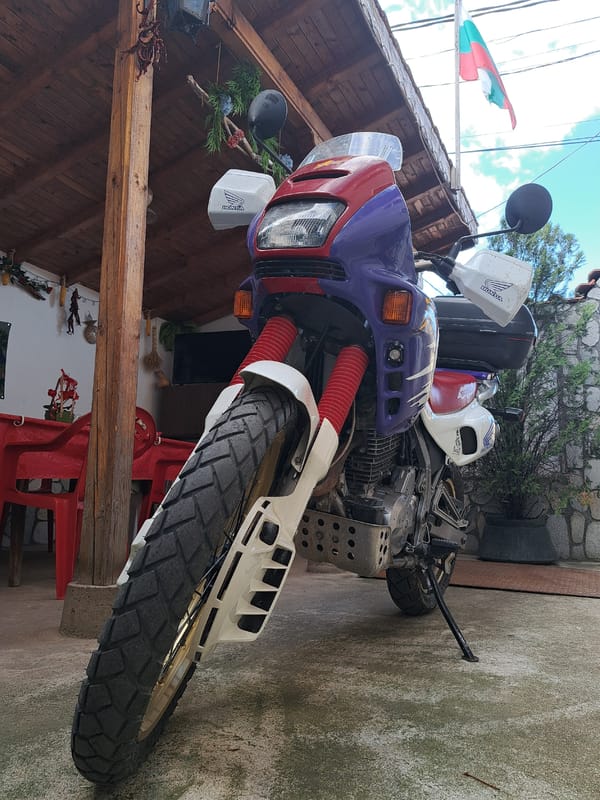 Woman poses with purple flowers near colorful Honda motorcycle