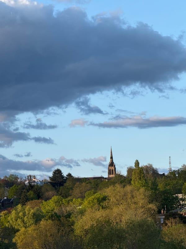 Evening park scenes with people and waterfowl documented in London