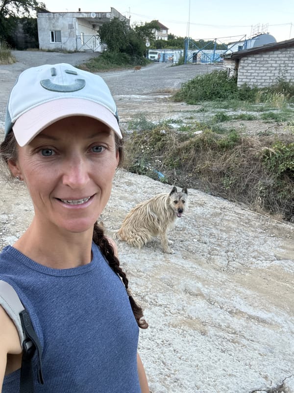 Cats, a dog, and a stroll through Malyi Mayak