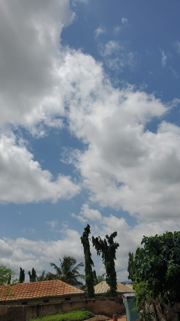 Rooftops and trees under a cloudy sky in Jalingo