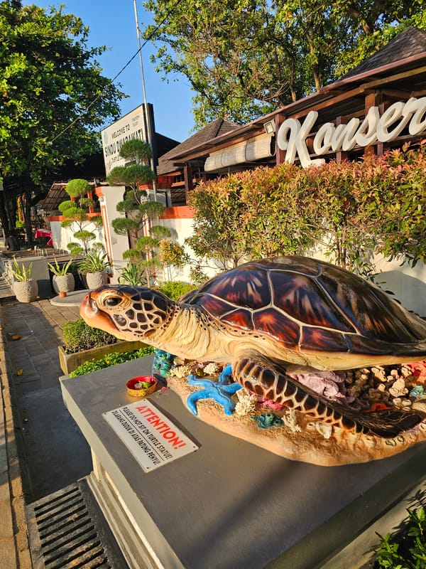 Evening street scenes and Balinese ceremonies documented in Denpasar