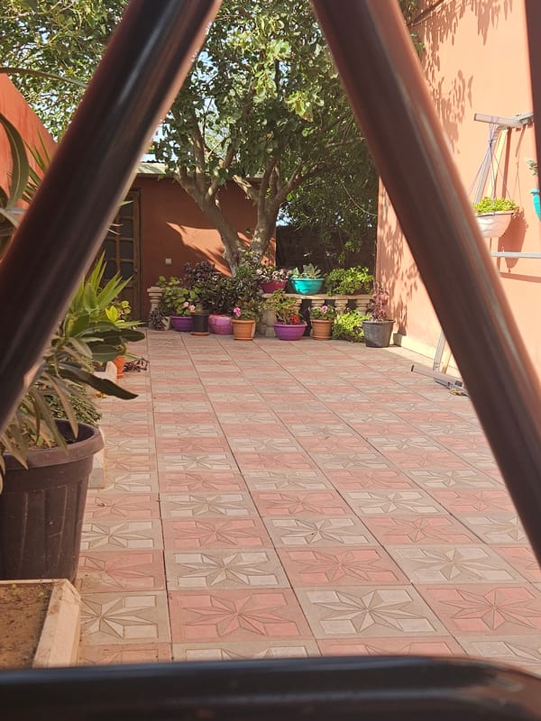 Courtyard, birds in flight, and a game of dominoes