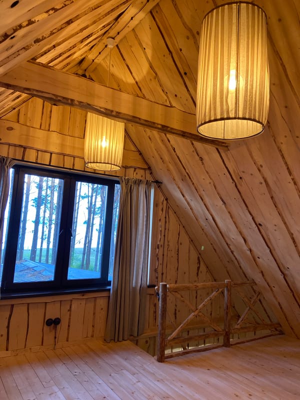 Traditional wooden house tour in Russian pine forest