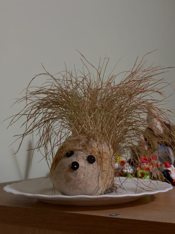 Person catalogs eclectic collection of objects in Budva