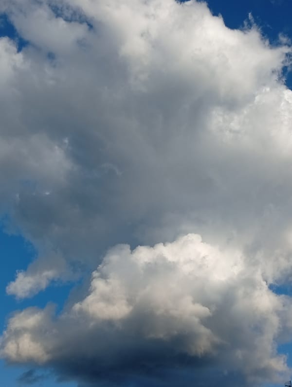 Nature details, jewelry, and playground gymnastics on a cloudy afternoon