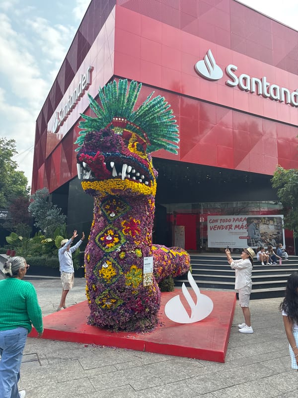 Floral art installations documented across Mexico City commercial areas