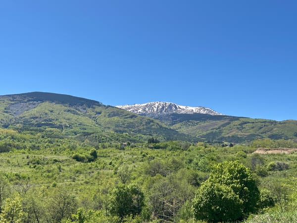 Spring landscape documented in Bulgarian countryside near Bistritsa