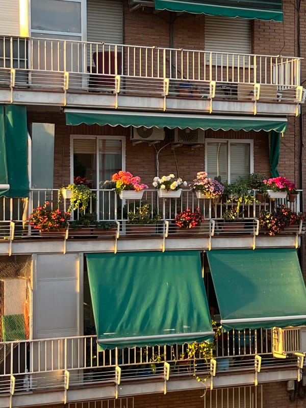 Madrid apartment building displays characteristic balcony gardens and awnings